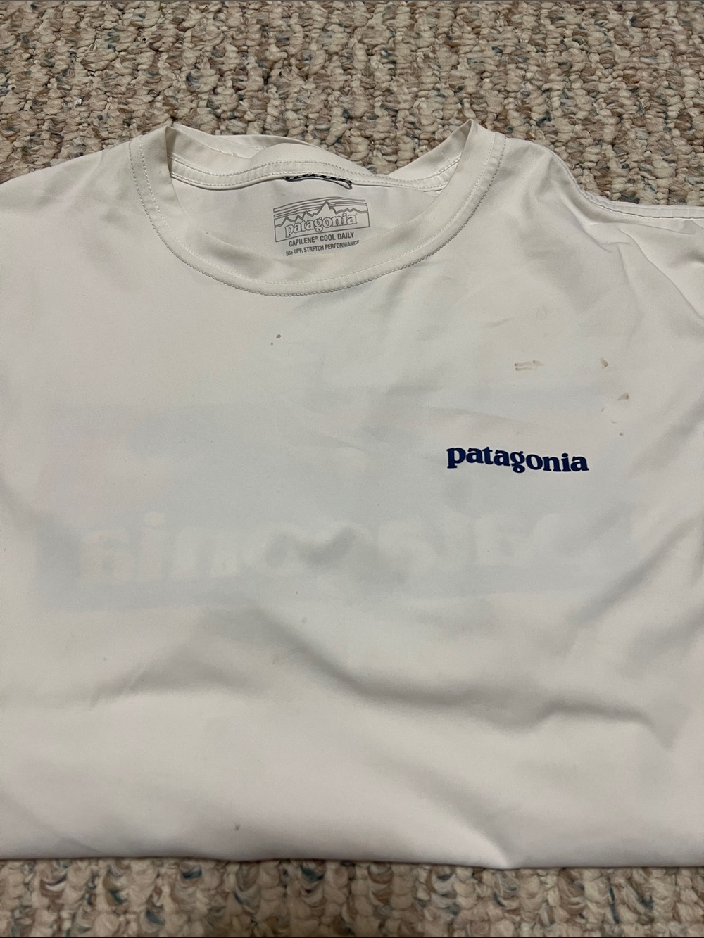 Patagonia Cream Tee with Navy Logo